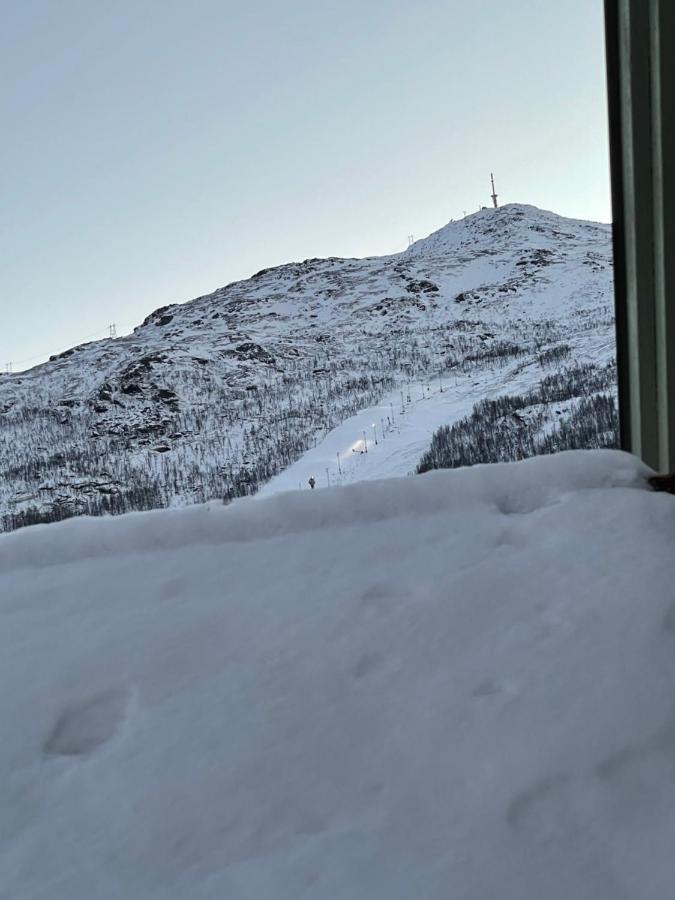 Presttind - Studio Apartment With Free Parking Narvik Kültér fotó